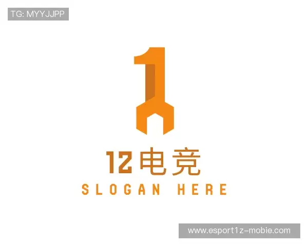 解读1z电竞官网